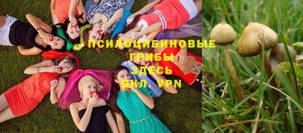 a pvp Абдулино