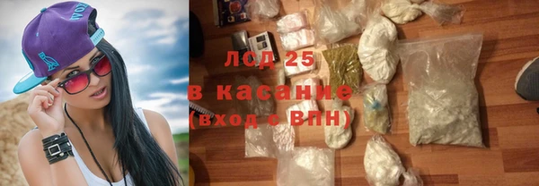 ГАЛЛЮЦИНОГЕННЫЕ ГРИБЫ Алексин
