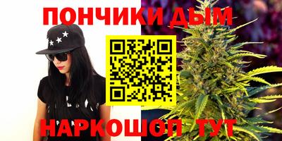дмт Сланцы