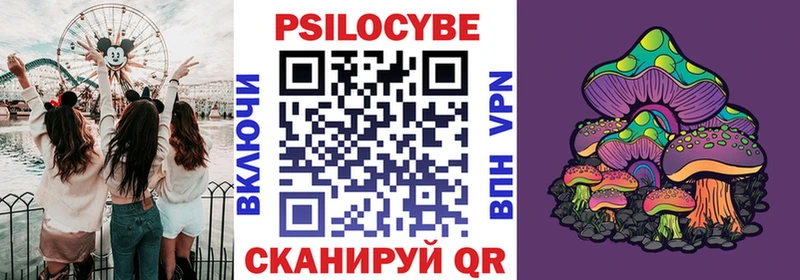 kraken tor  Ртищево  Псилоцибиновые грибы Cubensis 