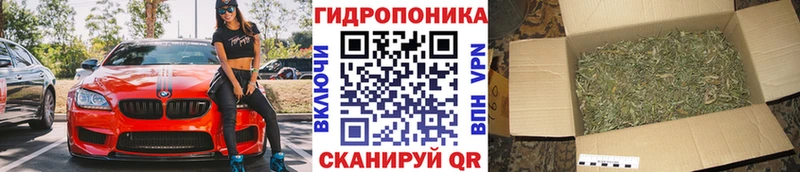 МАРИХУАНА Amnesia продажа наркотиков Ртищево