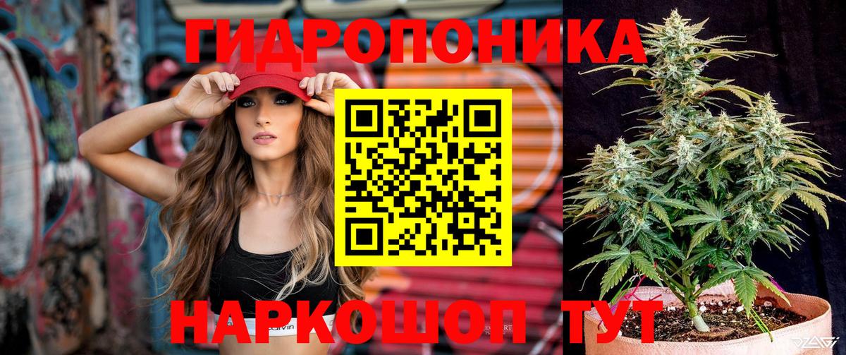 Бошки марихуана конопля Ртищево